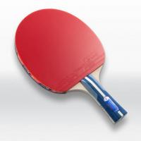 張本智和1800 キッズ