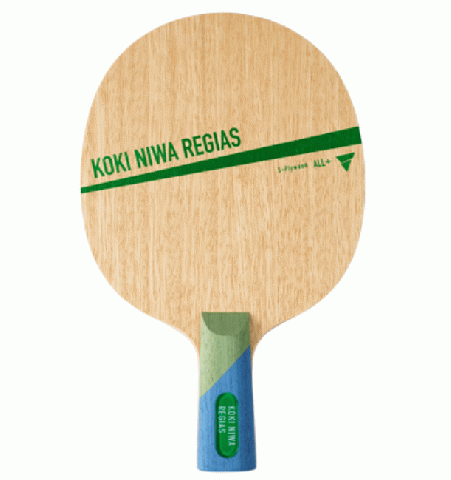 丹羽孝希レジアス CHN